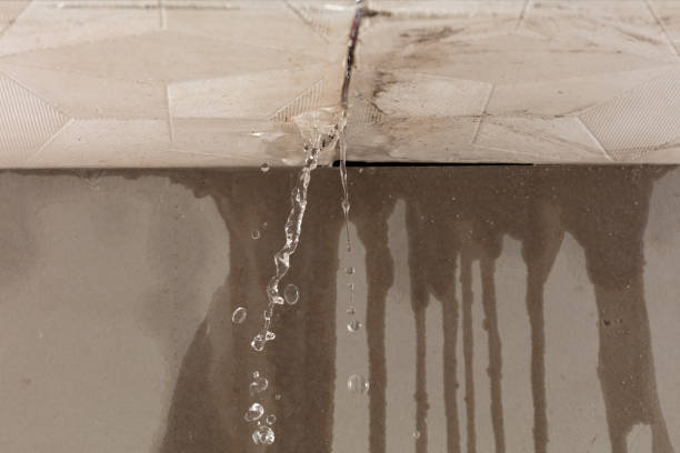 Professional Burst Pipe Cleanup technician working in Blue Hill, ME